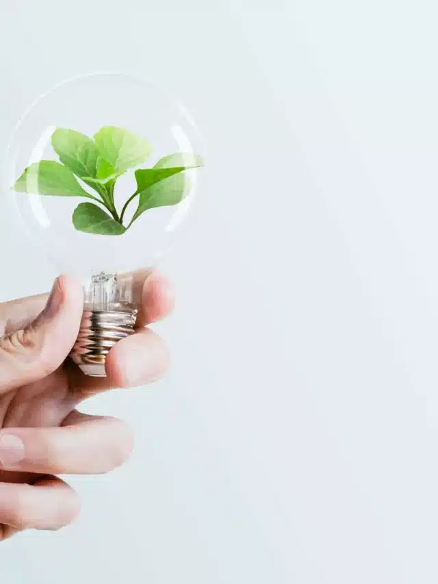 Mão segurando lâmpada com muda de planta para artigo Startups ESG rumo a um mundo mais sustentável