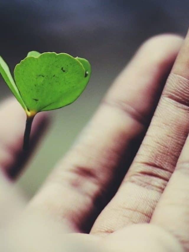 Conheça as principais tendências sustentáveis para empresas e transforme a sua em um modelo