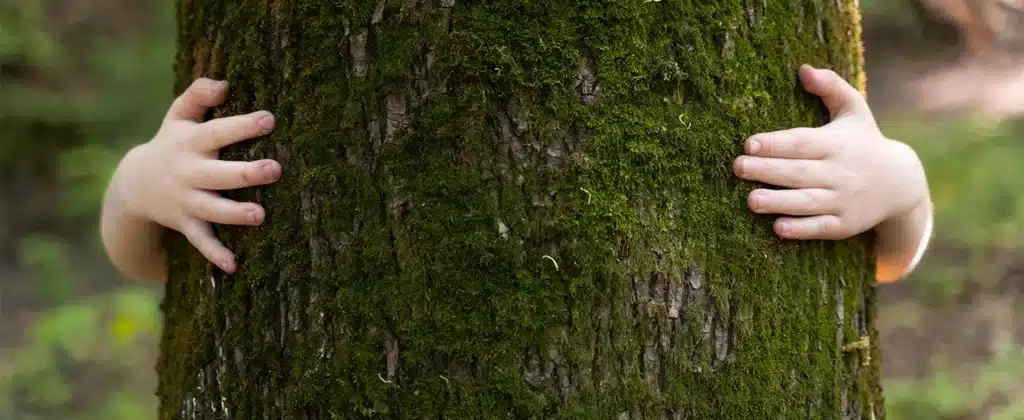 Um criança abraçando o tronco verde de musgo de uma árvore, mas a criança está escondida atrás da árvore e apenas as duas mãos ficam visíveis para ilustrar o artigo sobre princípios básicos da educação ambiental