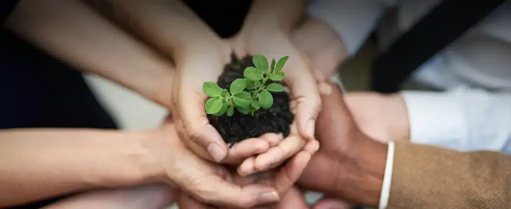 Várias mãos juntas em cuba para segurar uma muda de planta e um pouco de terra na palma da mão para exemplificar artigo sobre educação ambiental nas empresas