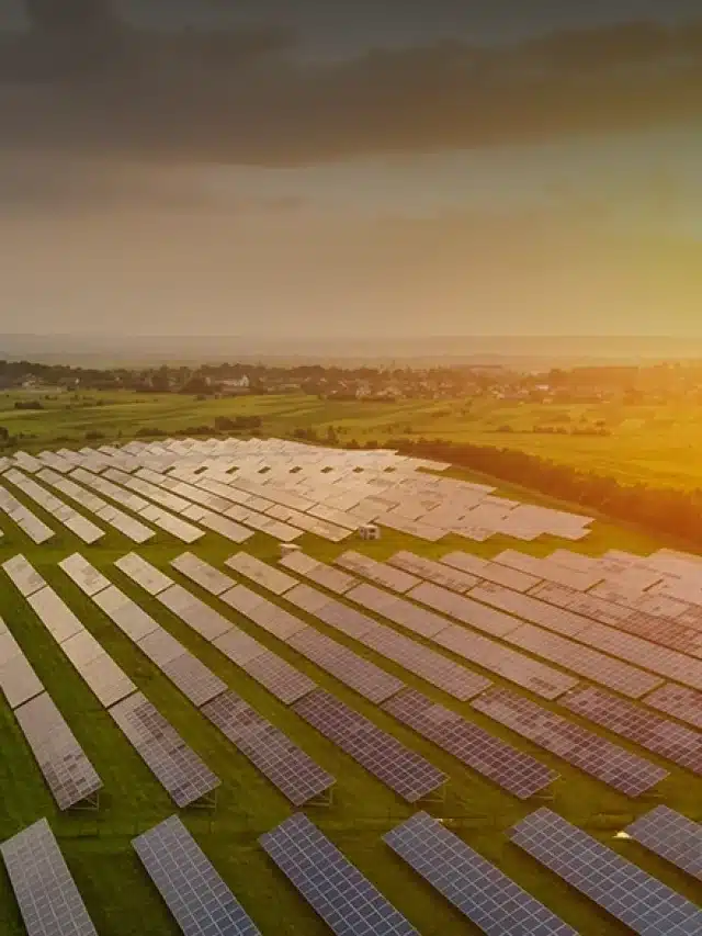 Fileiras de painéis solares em campo verde aberto para exemplificar artigo sobre o que é uma fazenda de placas solares e como ela funciona
