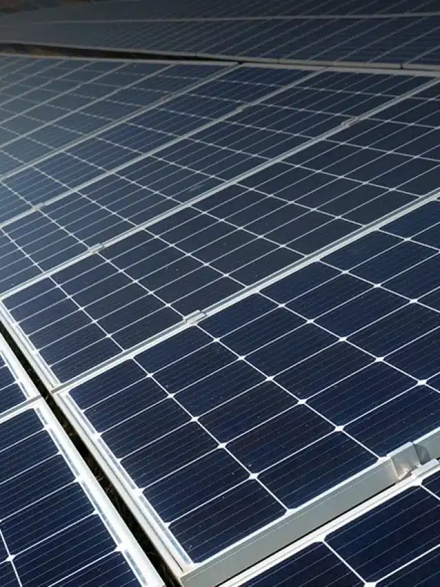 Fileira de placa solar para artigo sobre Descubra as vantagens de investir em energia solar