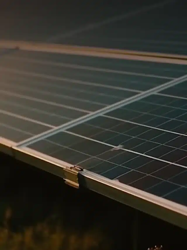 Placa solar com iluminação rosada para artigo sobre Saiba o que é micro usina solar?