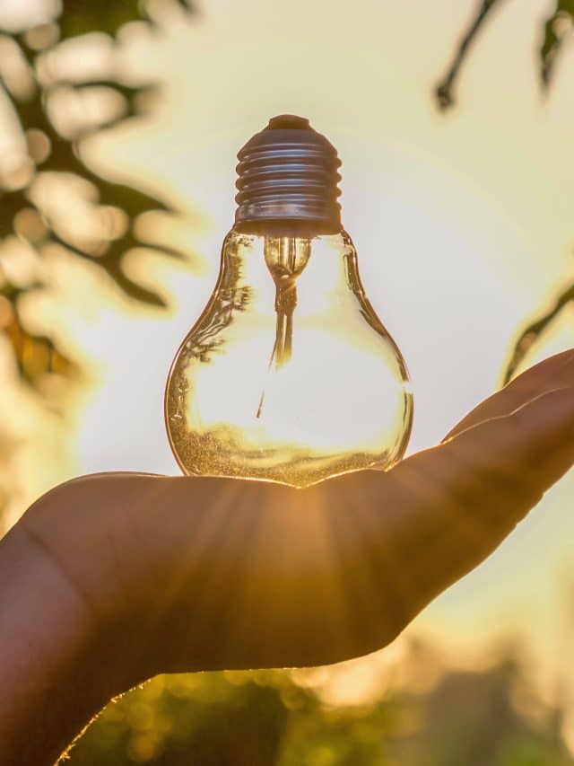 concept power energy of solar in nature. hand holding light bulb