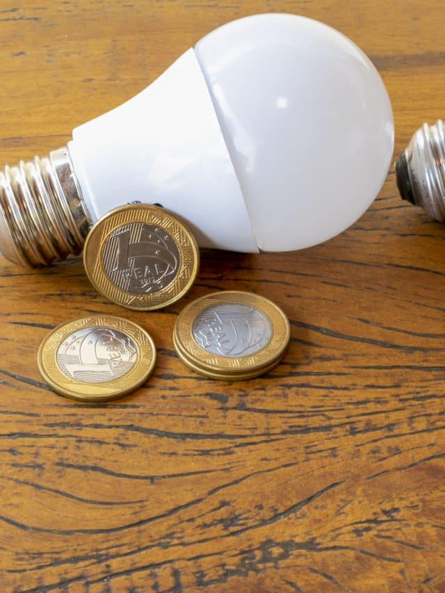 LED and incandescent light. comparison of savings on electricity costs