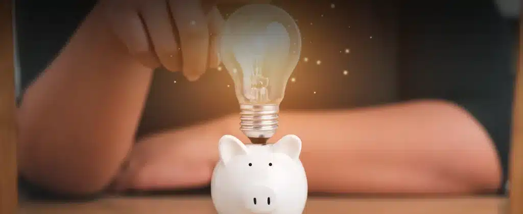 Braço, lâmpada e um porquinho para artigo Taxa minima de luz: quem tem energia solar precisa pagar?