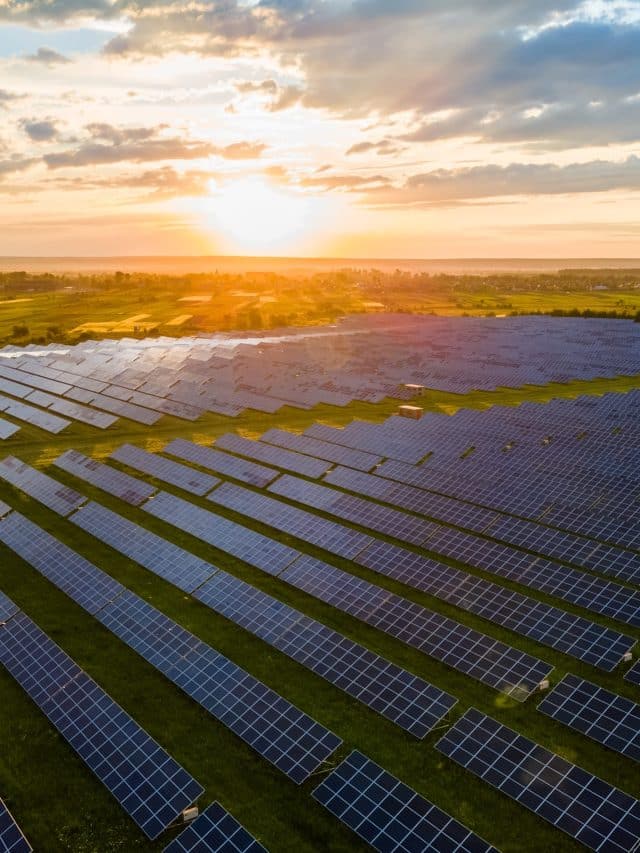 Aerial view of large sustainable electrical power plant with many rows of solar photovoltaic panels for producing clean electric energy at sunset. Renewable electricity with zero emission concept.