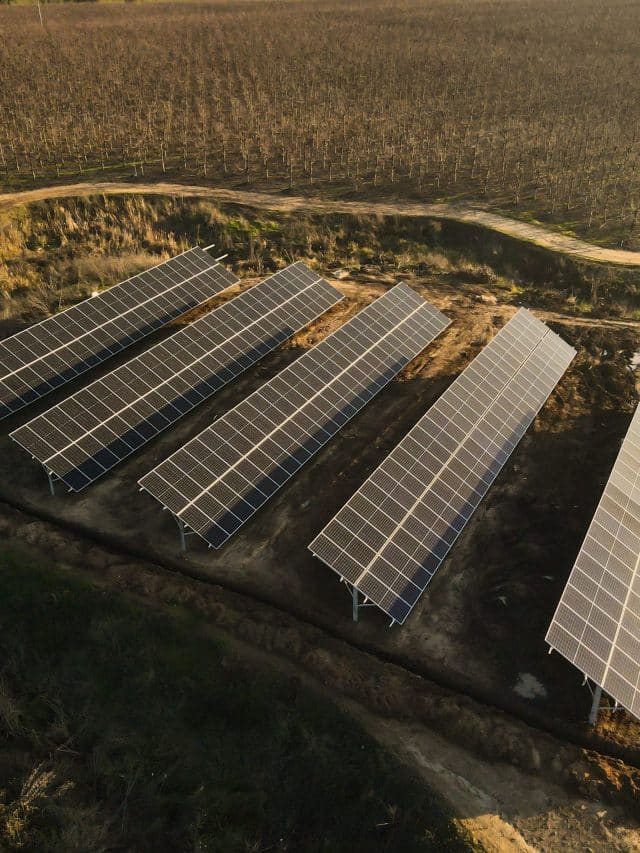 Aerial view of solar power plant solar panels on vineyard. Electric panels for producing clean ecologic energy.
