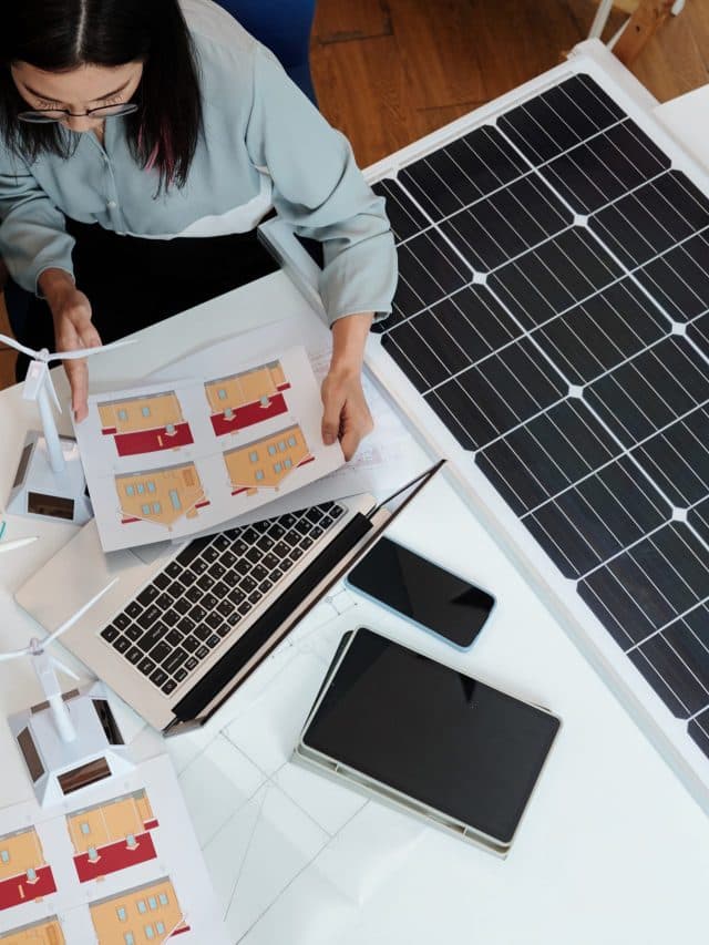 Green Energy Engineer Helping Client