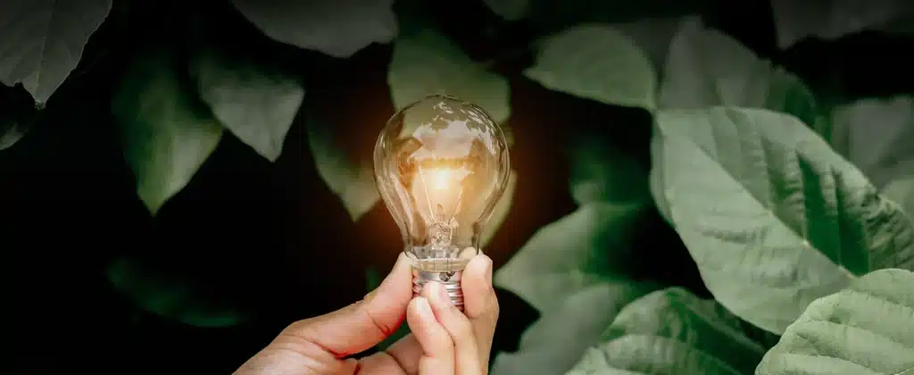 1 lâmpada e folhas ao fundo para Como economizar energia ajuda o meio ambiente?