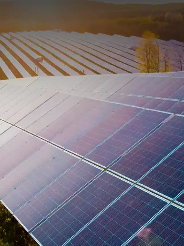 Pôr do Sol refletindo em painéis solares para Microgeração distribuída: o que é e como funciona