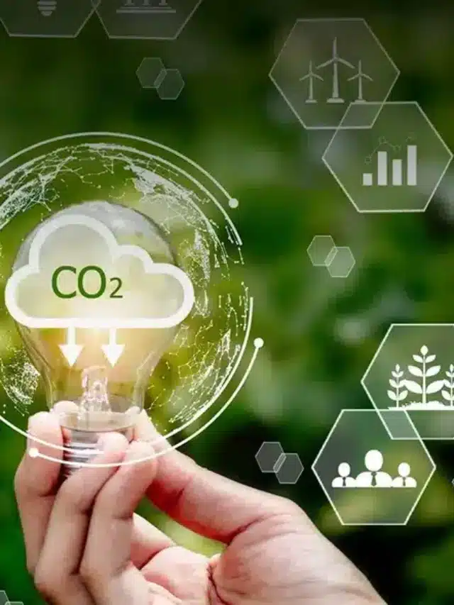 Lâmpada acese com simbolos ambiental ao redor para Saiba como funciona crédito de carbono