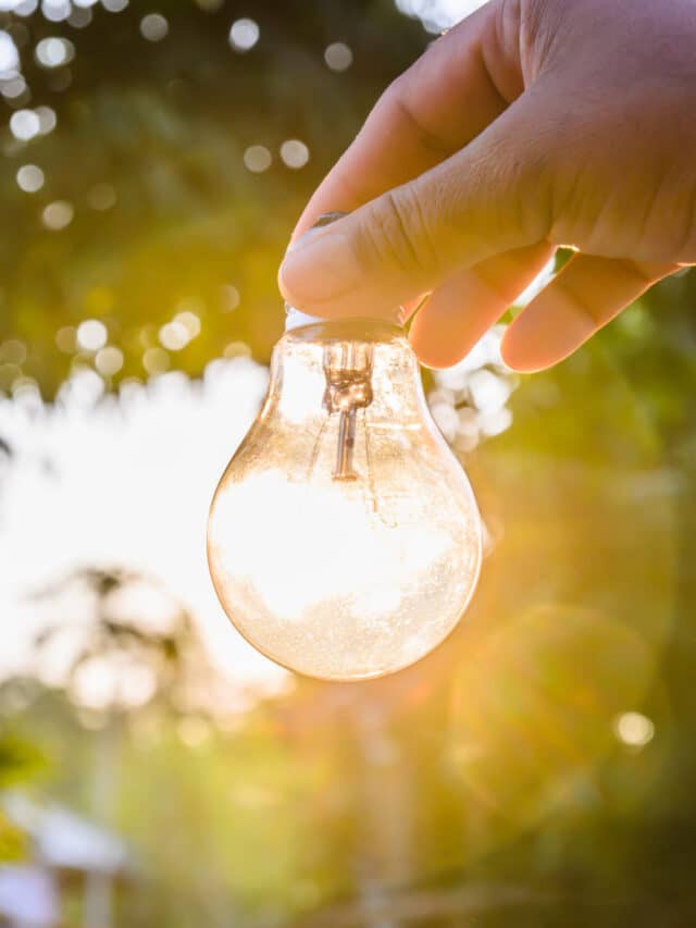 and holding a light bulb with sunset power concept