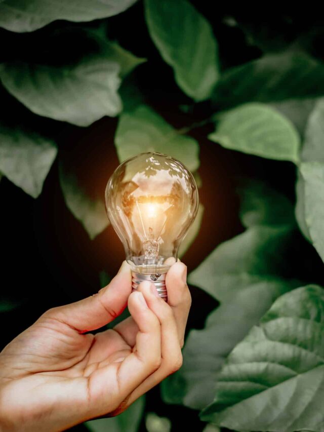 Hand holding light bulb,natural energy and love the world concept.