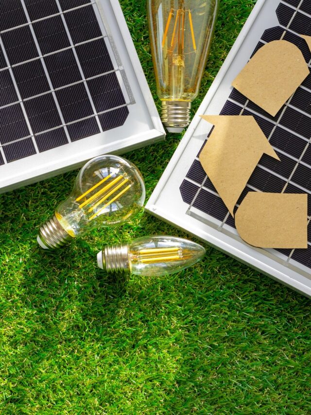 painel-de-energia-solar-e-lampada-de-energia-verde (1)