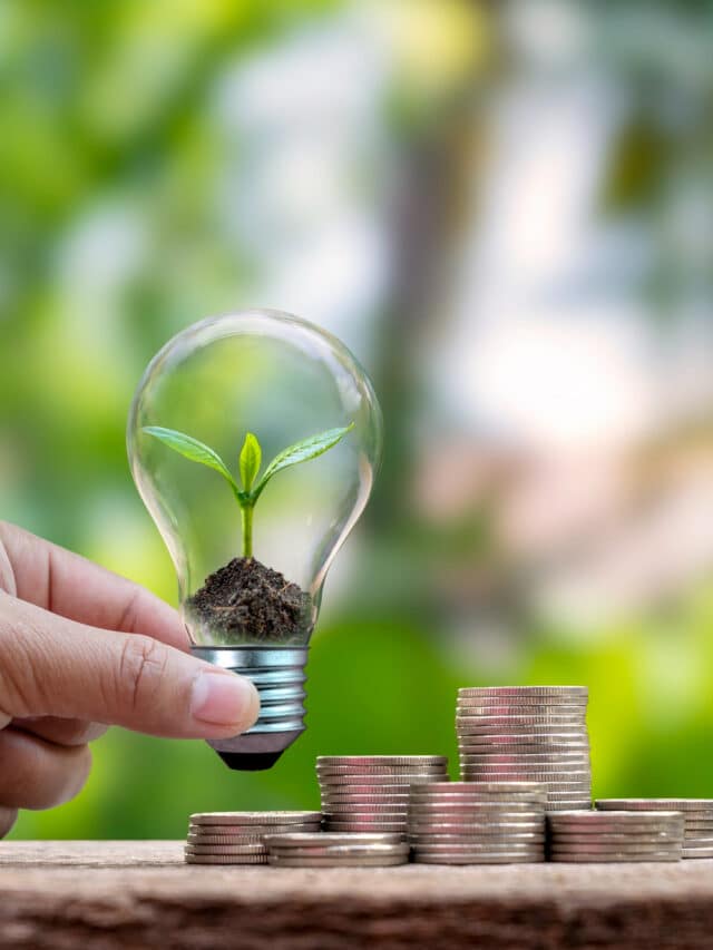 plantas-crescendo-em-lampadas-economizadoras-de-energia-nas-maos-das-pessoas-e-pilhas-de-moedas (1)