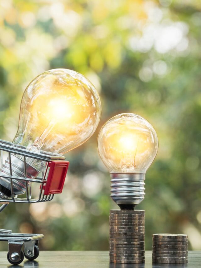 lampada-de-poupanca-de-energia-com-pilhas-de-moedas-e-carrinho-de-compras-para-salvar (2)