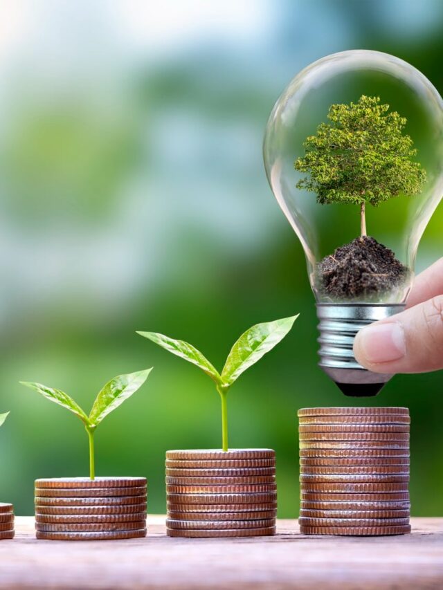 plants-growing-energysaving-lamps-peoples-hands-plants-piles-coins (1)
