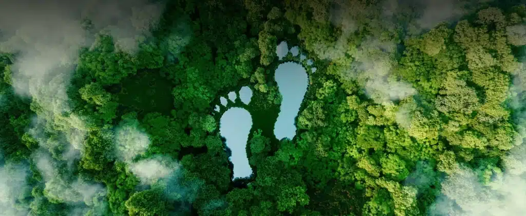 Simbolo de pegada em floresta vista de cima para artigo sobre O que é pegada ecológica?