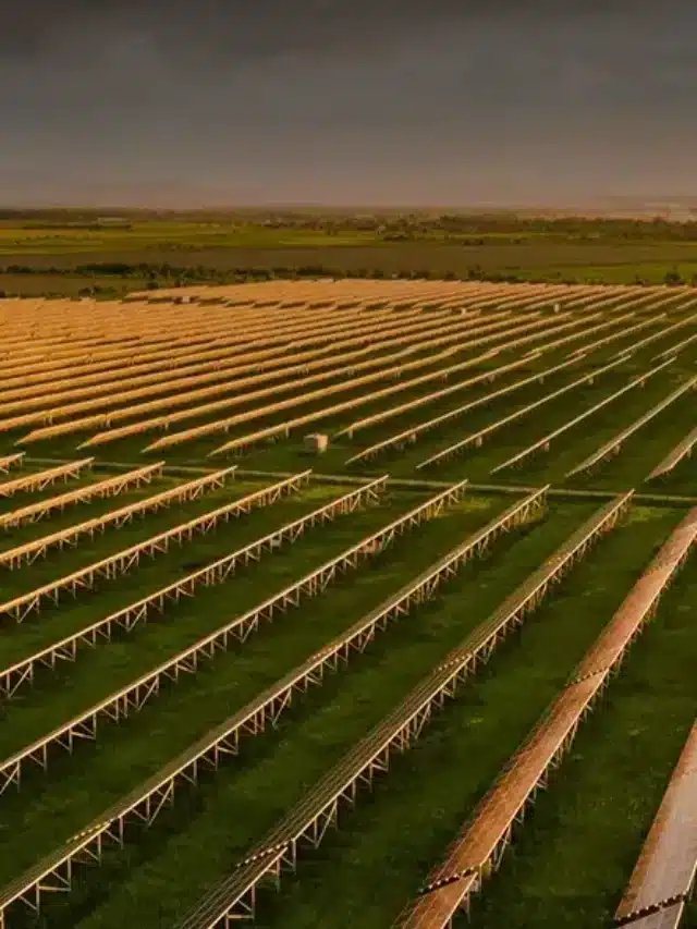 Fileira de placas solares no campo para Como investir em usina solar e deixar passivamente rendendo?