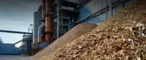 Pilha de lascas de madeiras para artigo sobre Saiba o que significa geração de energia biomassa