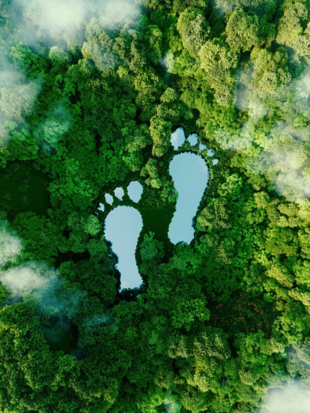 um-lago-em-forma-de-pegadas-humanas-no-meio-de-uma-exuberante-floresta-como-metafora-do-impacto-da-atividade-humana-na-paisagem-e-na-natureza-em-geral-renderizacao-3d