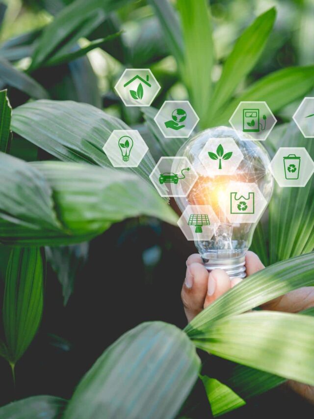 close-up-do-conceito-de-ecologia-da-lampada-de-planta-de-mao