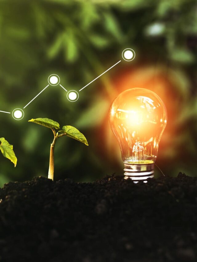 conceito-de-crescimento-lucro-desenvolvimento-e-sucesso-de-negocios-ecologicos-ecologia-e-conceito-de-tecnologia-verde