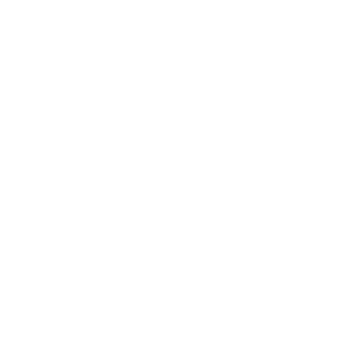 raizen-01