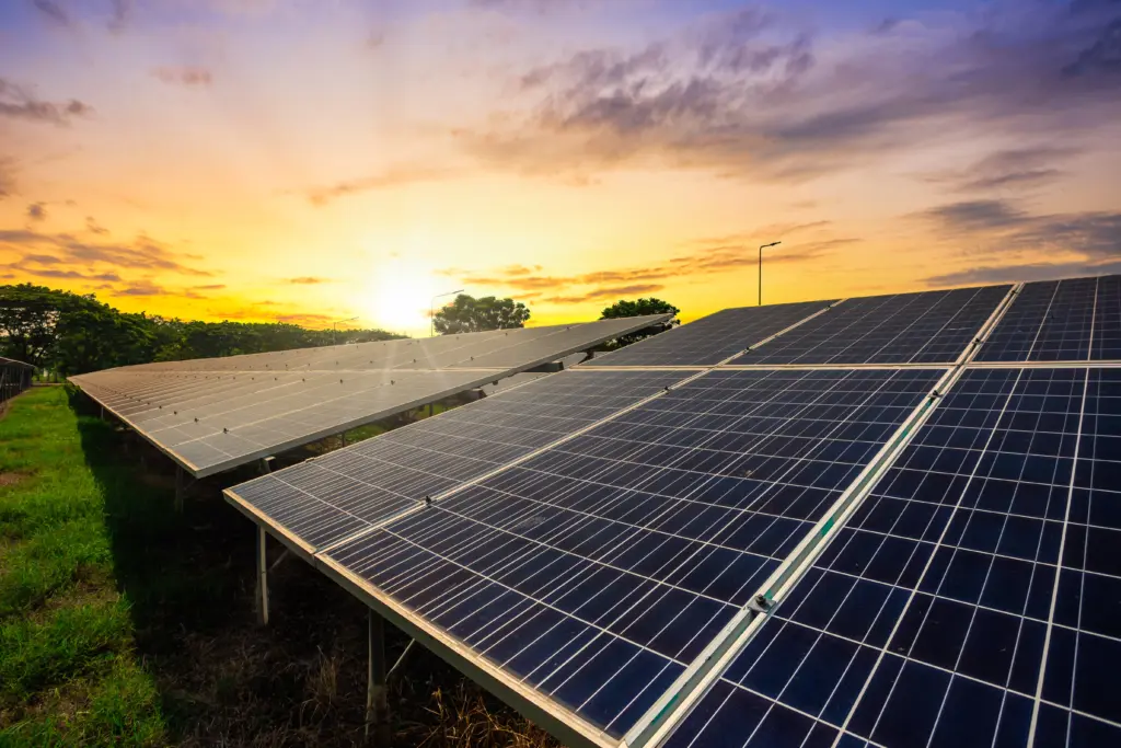 Por que a energia monofásica é mais barata? 2 Painéis solares instalados em área verde ao pôr do sol, representando a opção sustentável de compra de energia solar no mercado livre e reduzir custos com eletricidade.