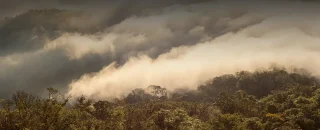 Nuvens acima da floresta para artigo O que é carbono azul e sua importância para o meio ambiente?