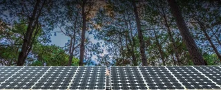 Painel solar e árvores ao fundo para Saiba quais são os impactos ambientais da energia solar