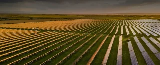 Fileira de placas solares no campo para Como investir em usina solar e deixar passivamente rendendo?