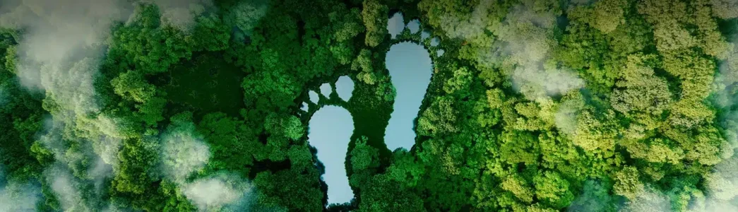 Simbolo de pegada em floresta vista de cima para artigo sobre O que é pegada ecológica?