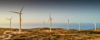 Parque de turbinas eólicas para Descubra as principais curiosidades sobre energia eólica