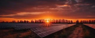 Imagem com painéis solares em terreno aberto, ao fundo algumas árvores e um céu laranja e rosado com o sol se pondo atrás das árvores para artigo sobre Sabia que existem tipos de energia solar? Conheça agora