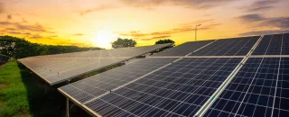 Painéis solares instalados em área verde ao pôr do sol, representando a opção sustentável de compra de energia solar no mercado livre e reduzir custos com eletricidade.