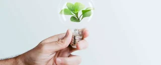 Mão segurando lâmpada com muda de planta para artigo Startups ESG rumo a um mundo mais sustentável